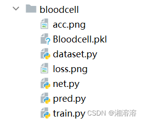 血细胞分类项目,在这里插入图片描述,第2张