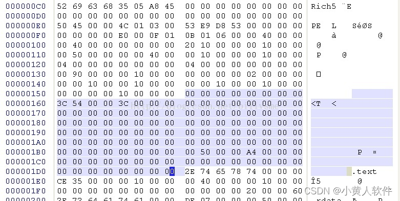 PE文件结构 安全分析与恶意软件研究 逆向工程 优化与性能调整 兼容性与移植性分析,在这里插入图片描述,第5张