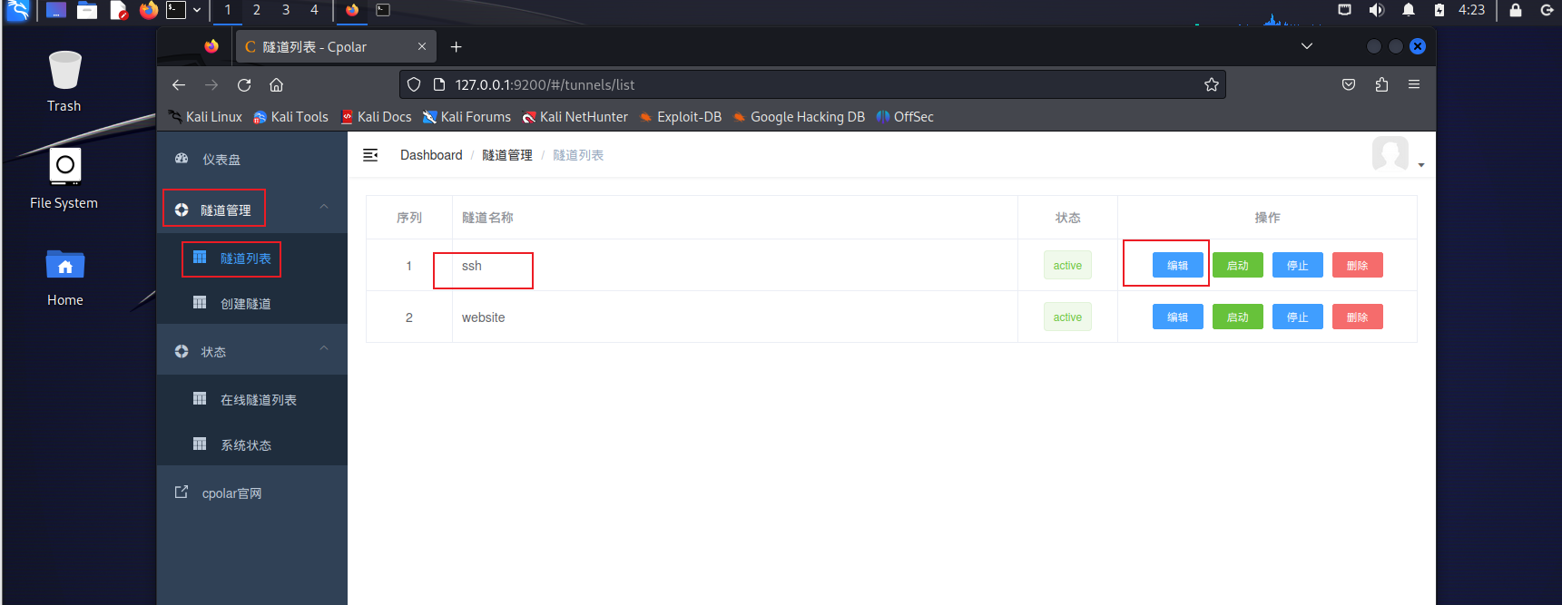 如何通过内网穿透实现固定tcp地址ssh远程连接Kali,image-20230901162358767,第11张