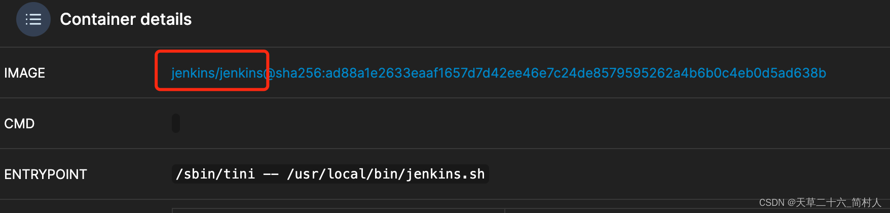 nodejs前端项目的CICD实现（二）jenkins的容器化部署,在这里插入图片描述,第2张