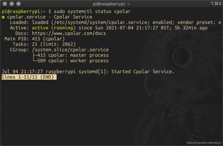 VsCode SSH远程连接服务器【内网穿透公网连接】,20230314104849,第22张