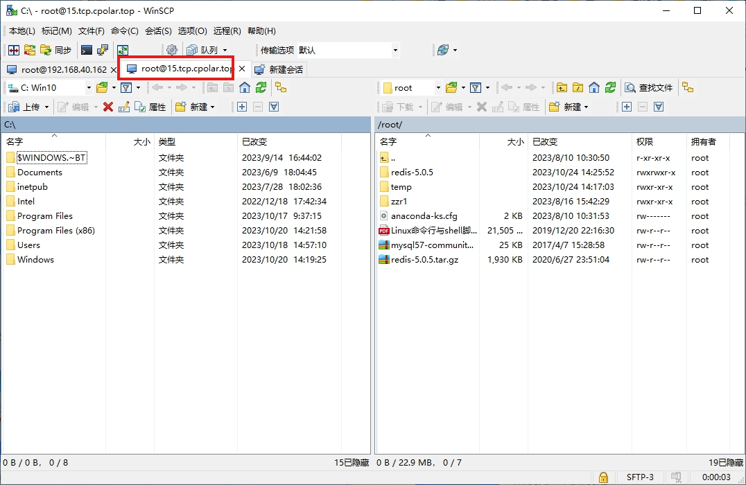 WinSCP如何使用公网TCP地址访问本地服务器,image-20231026154247961,第13张