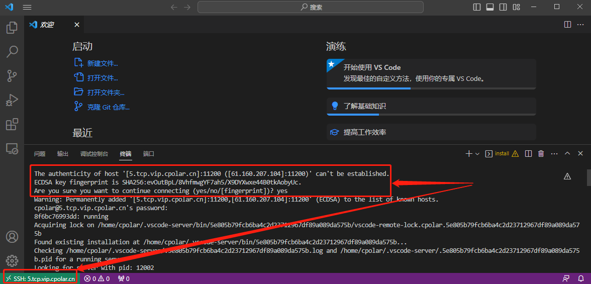 VsCode SSH远程连接服务器【内网穿透公网连接】,20230314102230,第32张