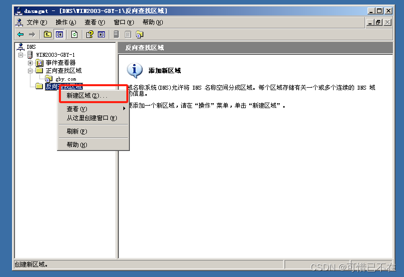 Windows Server 2003 DNS服务器搭建,第22张
