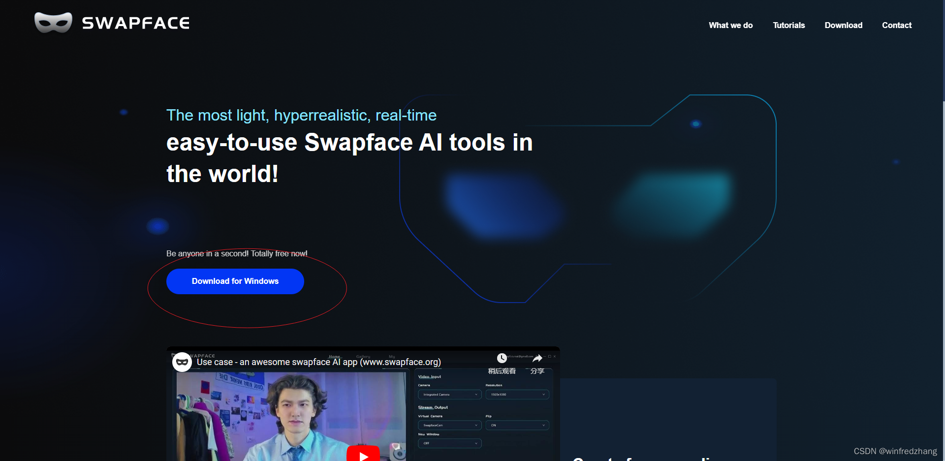 一秒钟变身明星：用swapface软件体验星光熠熠的感觉！,第1张