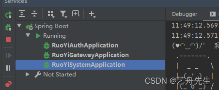 配置Linux服务器华为云耀云服务器之docker中nacos服务注册中心若依微服务版本安装 （虚拟机一样适用）若依（1）,第34张