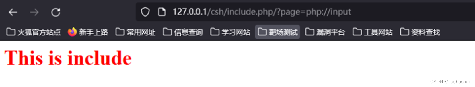 网安文件包含漏洞,第11张