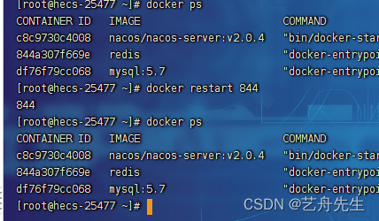 配置Linux服务器华为云耀云服务器之docker中nacos服务注册中心若依微服务版本安装 （虚拟机一样适用）若依（1）,第32张