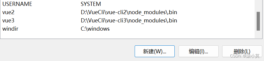 Vue2与Vue3共存于一台电脑 保姆级教程,在这里插入图片描述,第13张
